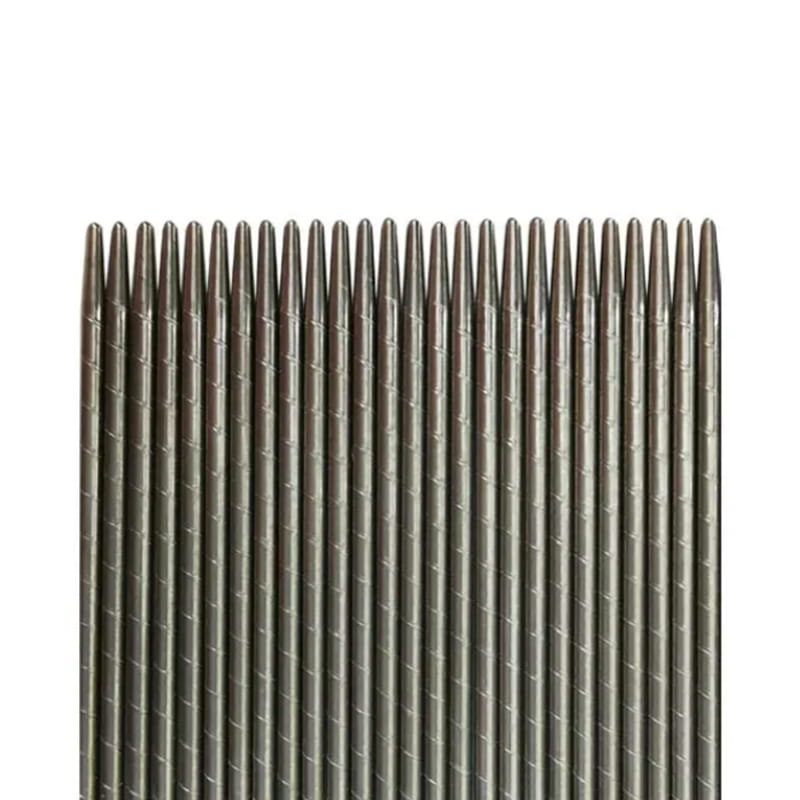 Stal nierdzewna paska wszy igła stalowa